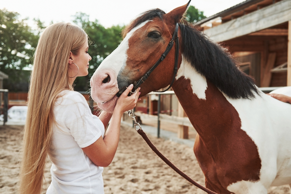 Tiener meisje met paard op manege