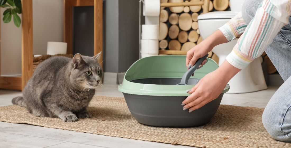 Persoon die kattenbak schoonmaakt